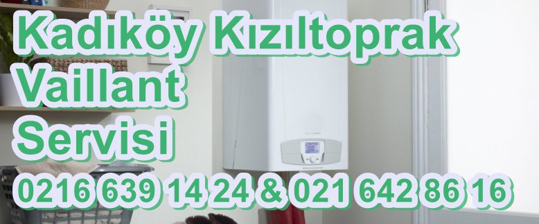 Kızıltoprak Vaillant Servisi