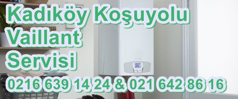 Koşuyolu Servisimiz kadıköy ilçeşi içerindeki siz vaillant kombi kullanıcılarının yaşamış olduğunuz Koşuyolu Vaillant Servisi olarak kombi arızalarına çözüm üretmekte olup faaliyetine 2009 yılından buyana devam ettirmektedir. Servisimiz kadıköy ilçesinin tüm semt ve mahallelerine kesintisiz Koşuyolu vaillant kombi bakım onarım ve arızalarına kesintisiz himet vermektedir.